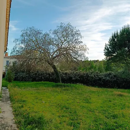 La Maison Du Bonheur , Maison Billard Et Jaccuzi * Captieux